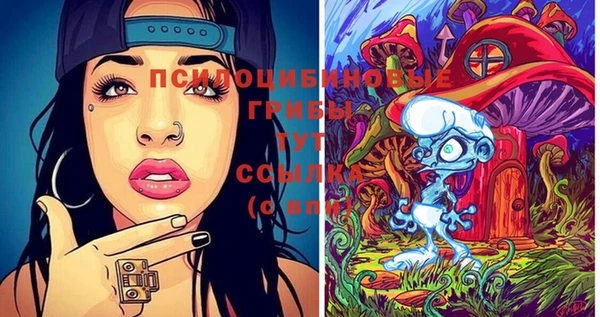 прущая мука Надым