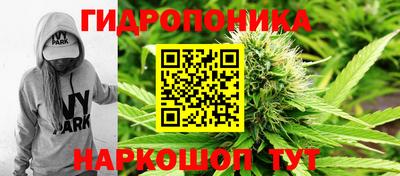 твердый Брянск