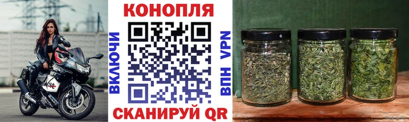 Канабис OG Kush  Серпухов 